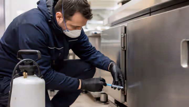 Application de micro-points de gel insecticide à la seringue sur la charnière d'un placard de cuisine professionnelle en inox