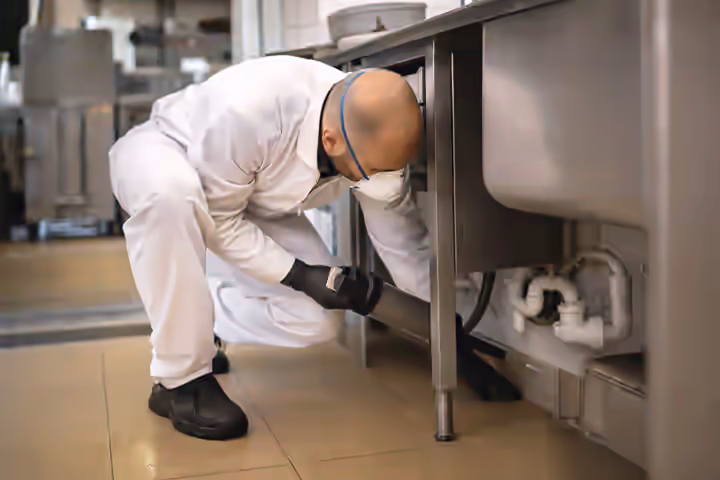 Cuisine professionnelle de restaurant toulousain avec inox brillant, technicien en tenue blanche appliquant un gel insecticide derrière une plonge